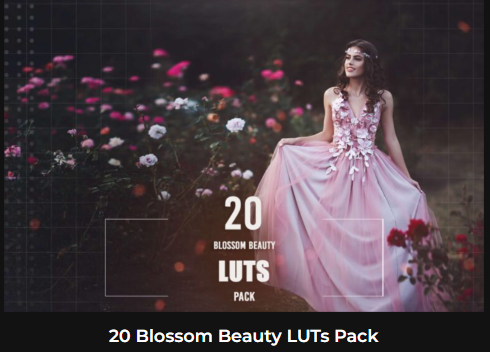 20ブロッサムビューティーLUTパック