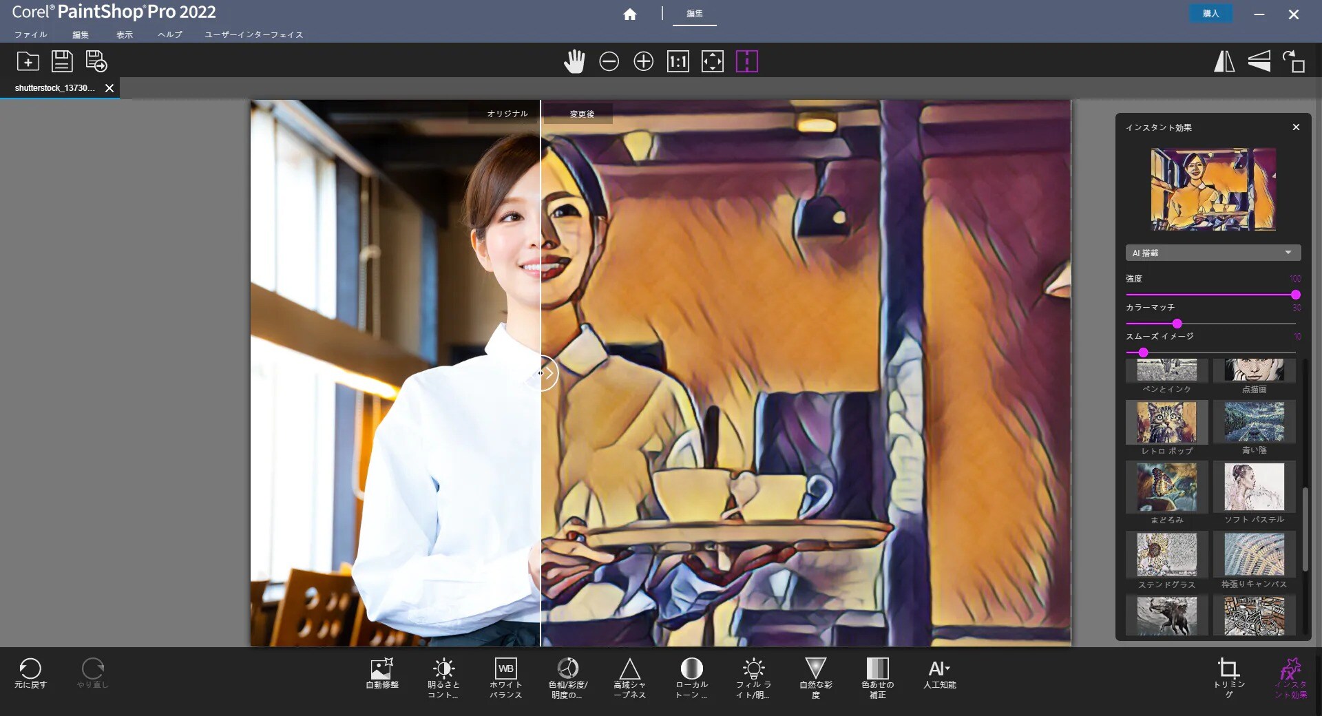 PaintShop Pro 2023 / 写真編集ソフト｜ソースネクスト