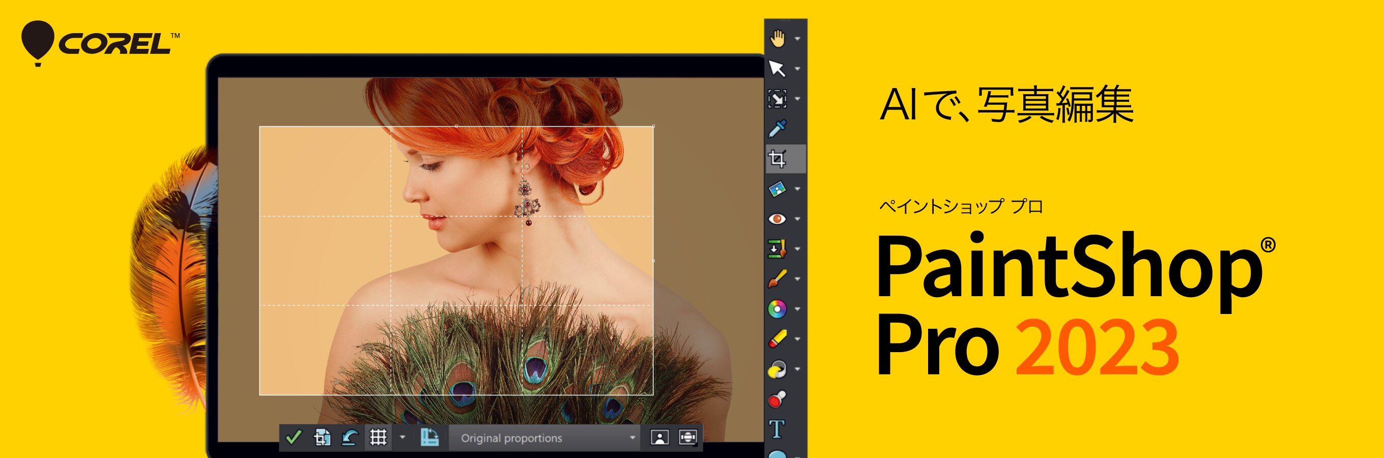 PaintShop Pro 2023 / 写真編集ソフト｜ソースネクスト