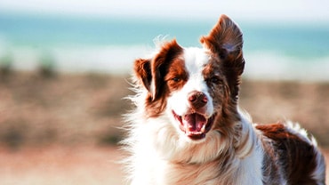 写真の補正 After