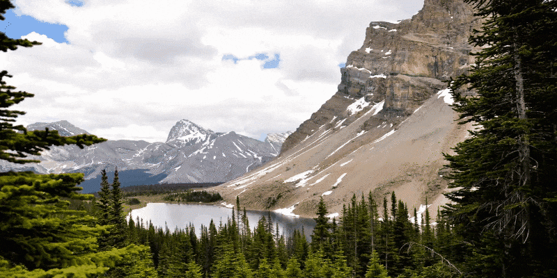 さまざまな切り替え効果（トランジション）