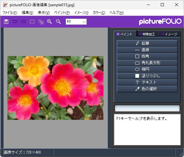 pictureFOLiO