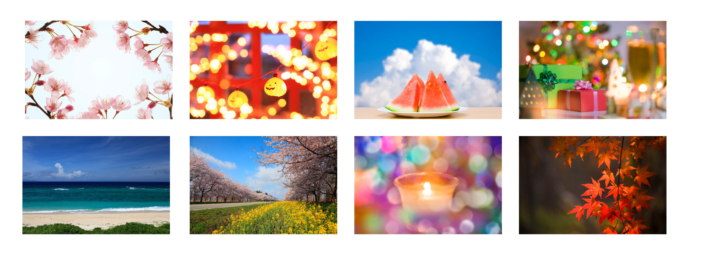 高画質の写真素材1,000点