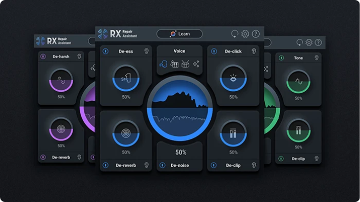 iZotope RX 10 Elements