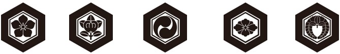 4.きっこう 亀甲紋