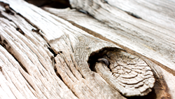 背景・テクスチャ - 10本収録