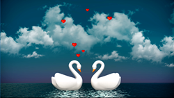 ロマンス - 10本収録