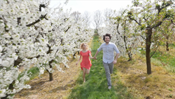 ロマンス - 10本収録