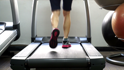 健康 - 10本収録