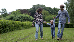 ライフスタイル - 6本収録