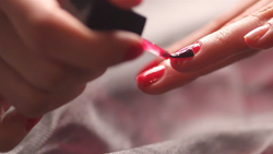 ファッション - 8本収録