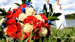 結婚 - 6本収録