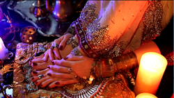 ファッション - 8本収録