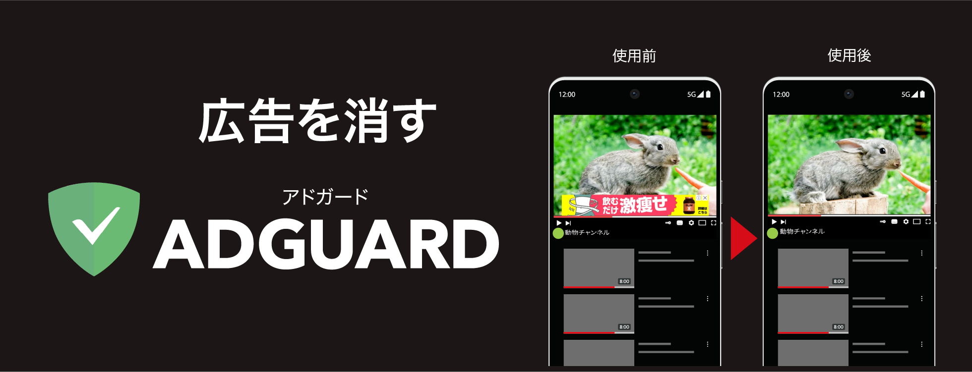 広告ブロックアプリ「AdGuard」（アドガード）