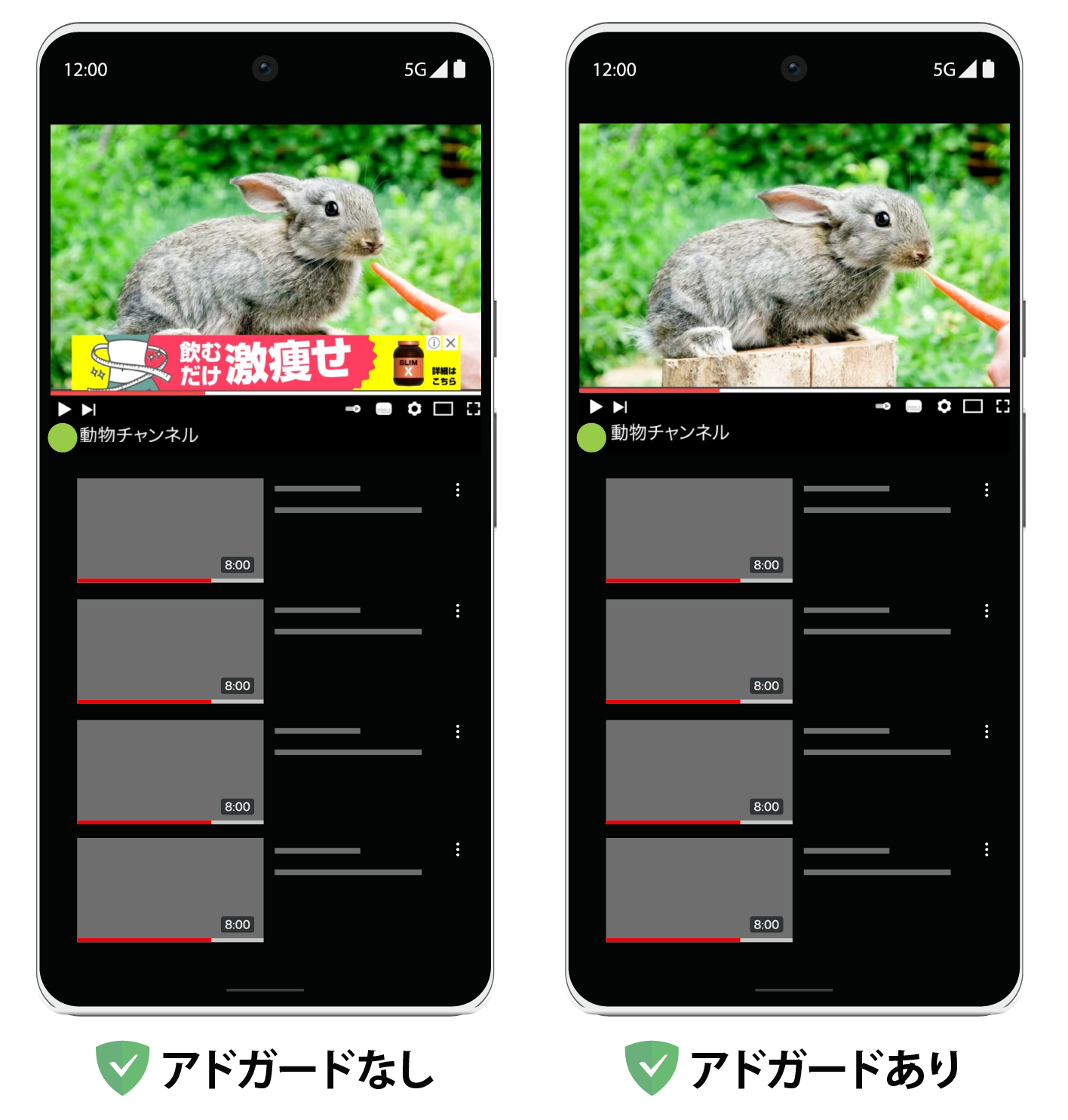 YouTubeブラウザの広告ブロック例
