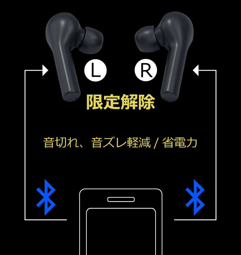 左右個別通信方式