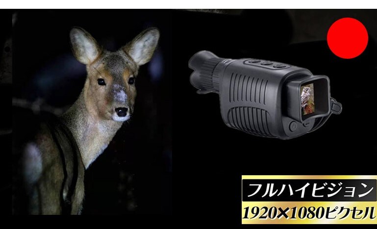 見ながら録画