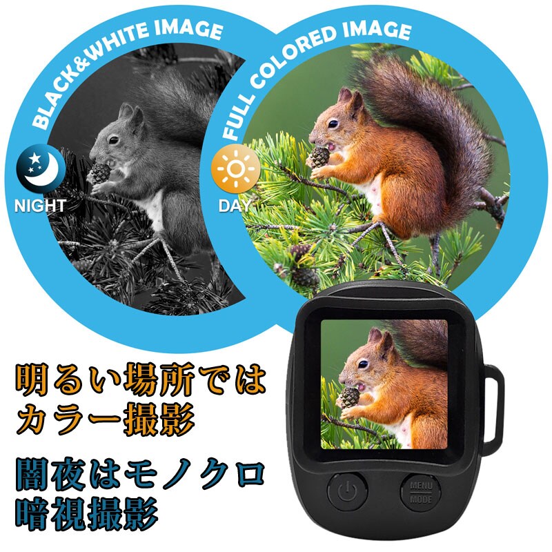 明るい場所ではカラー撮影、闇夜はモノクロ暗視撮影