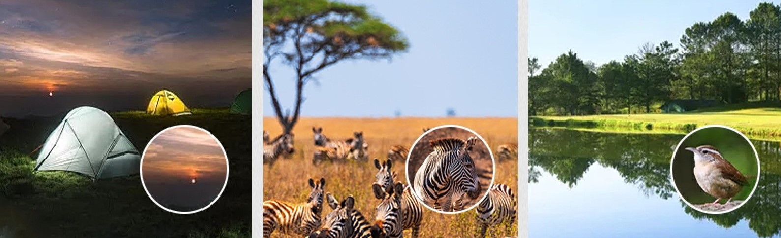 こんな時におすすめ


.mwsc__article_img ul {
        grid-template-columns: auto;
}
