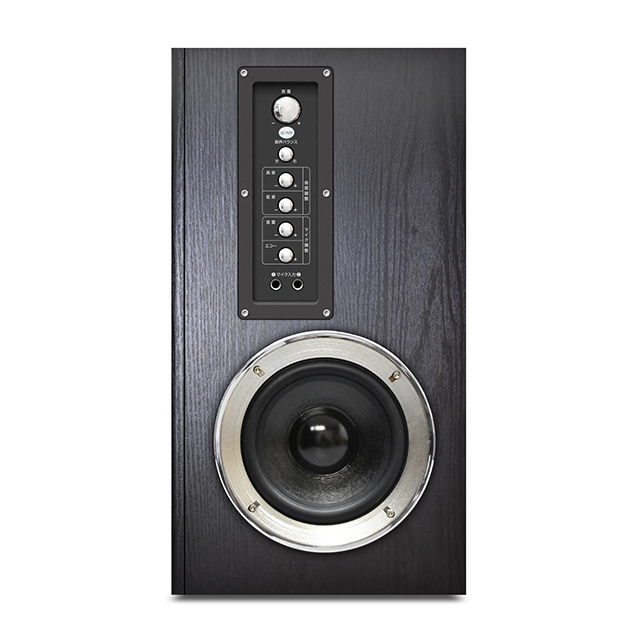 アンプ内蔵タワースピーカー｜ソースネクスト