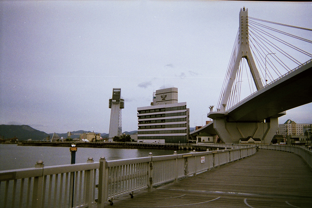 ネガフィルム手順