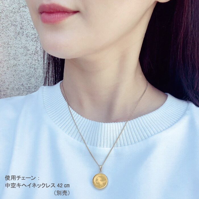 ユニコーン金貨ペンダントトップ｜ソースネクスト
