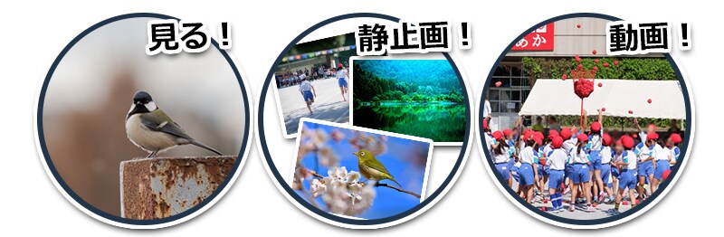 1台３役