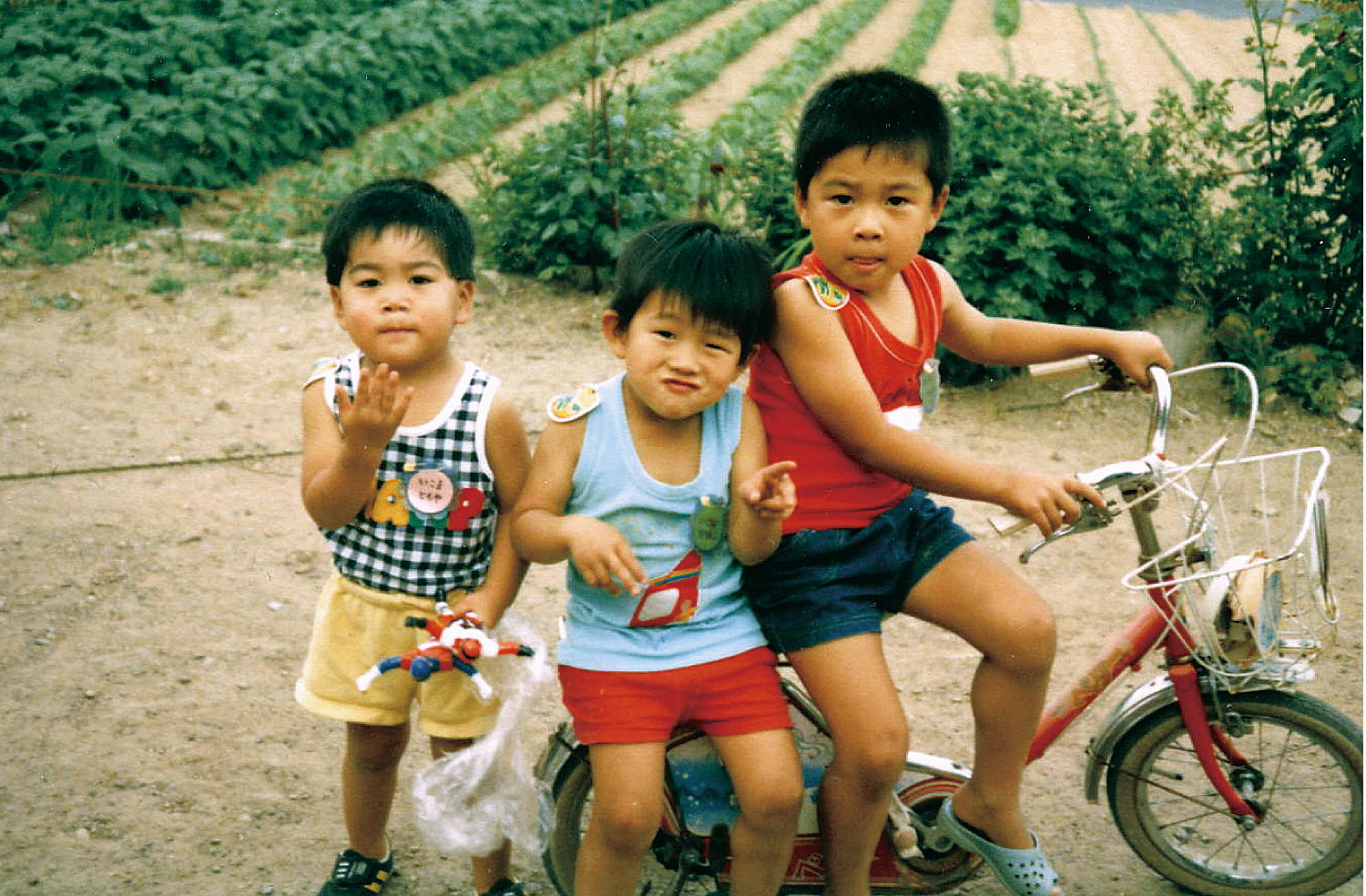 ③退色写真の復元