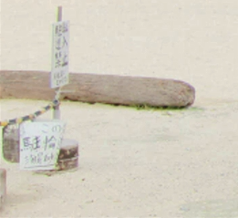 ⑥モザイク処理