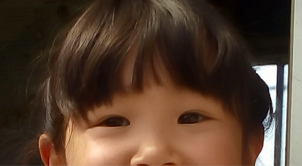 ④ピンぼけ写真の補正