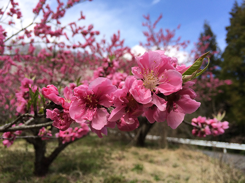 ①明るさ・コントラストの調整