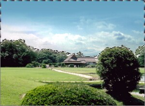 AI 空検出