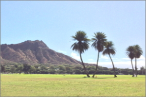 本製品の自動補正結果