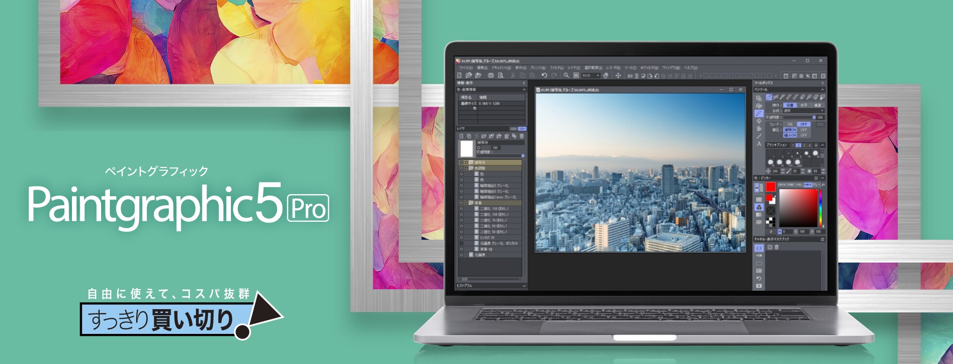 Paintgraphic 5 Pro