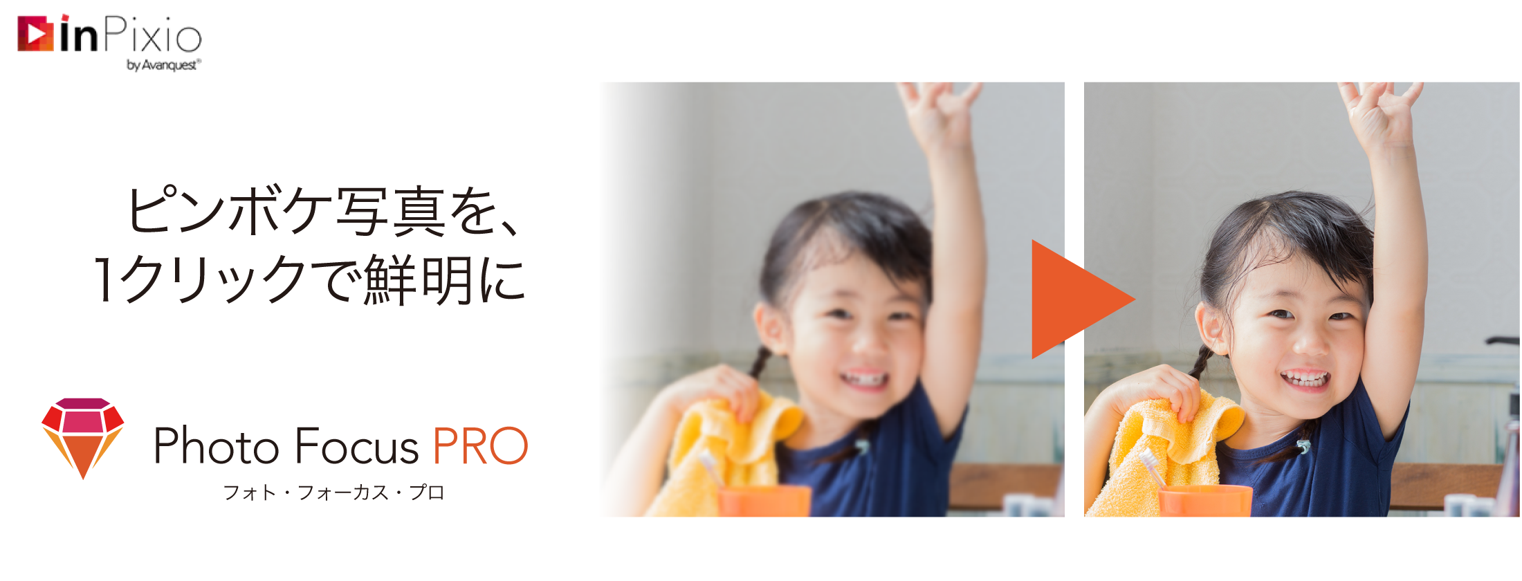 InPixio Photo Focus PRO　ダウンロード版