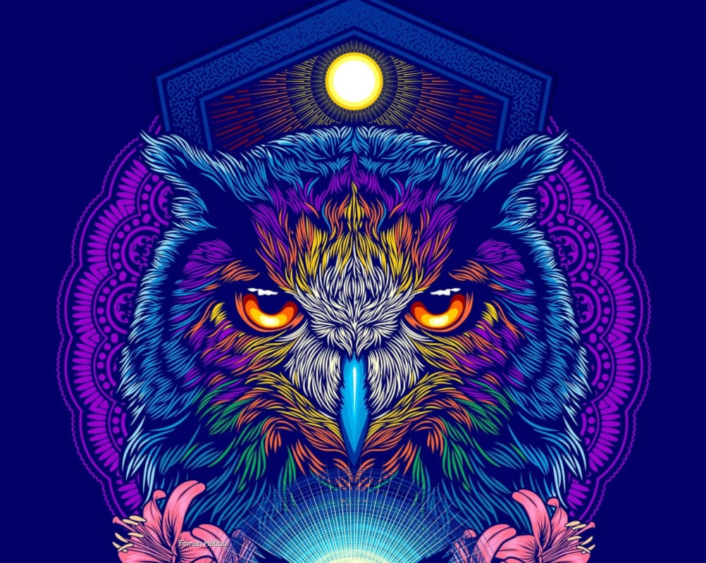CorelDRAW Graphics Suite 2021」|ソースネクスト CorelDRAW Graphics Suite 2021」|ソースネクスト