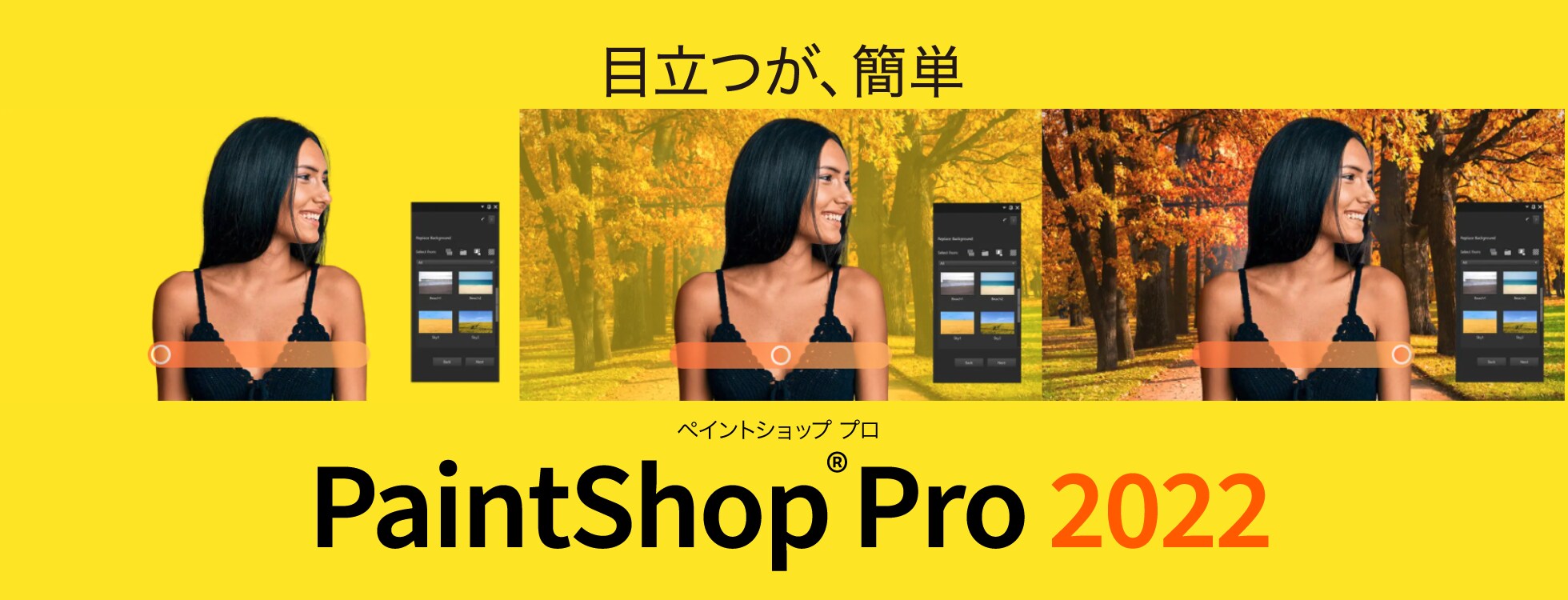 写真編集ソフト「PaintShop Pro 2022」