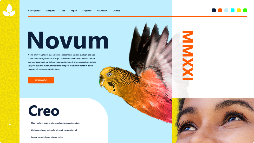 フレームツールを搭載