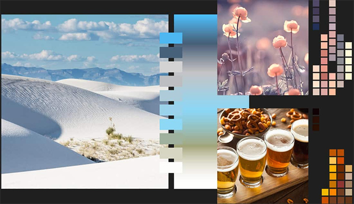 フリー素材「Corel® Creative Collection」を収録.png