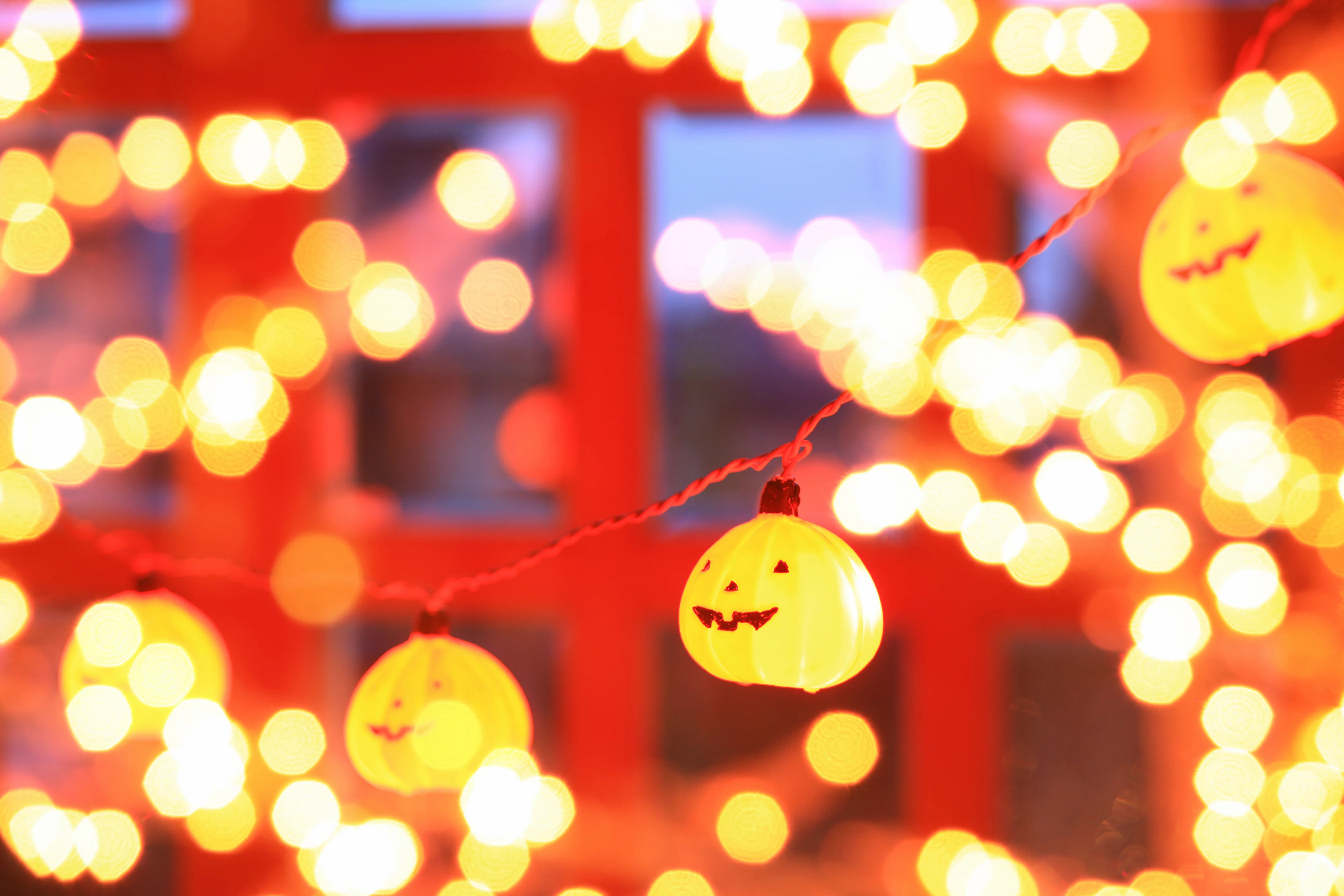 高画質の写真素材1,000点