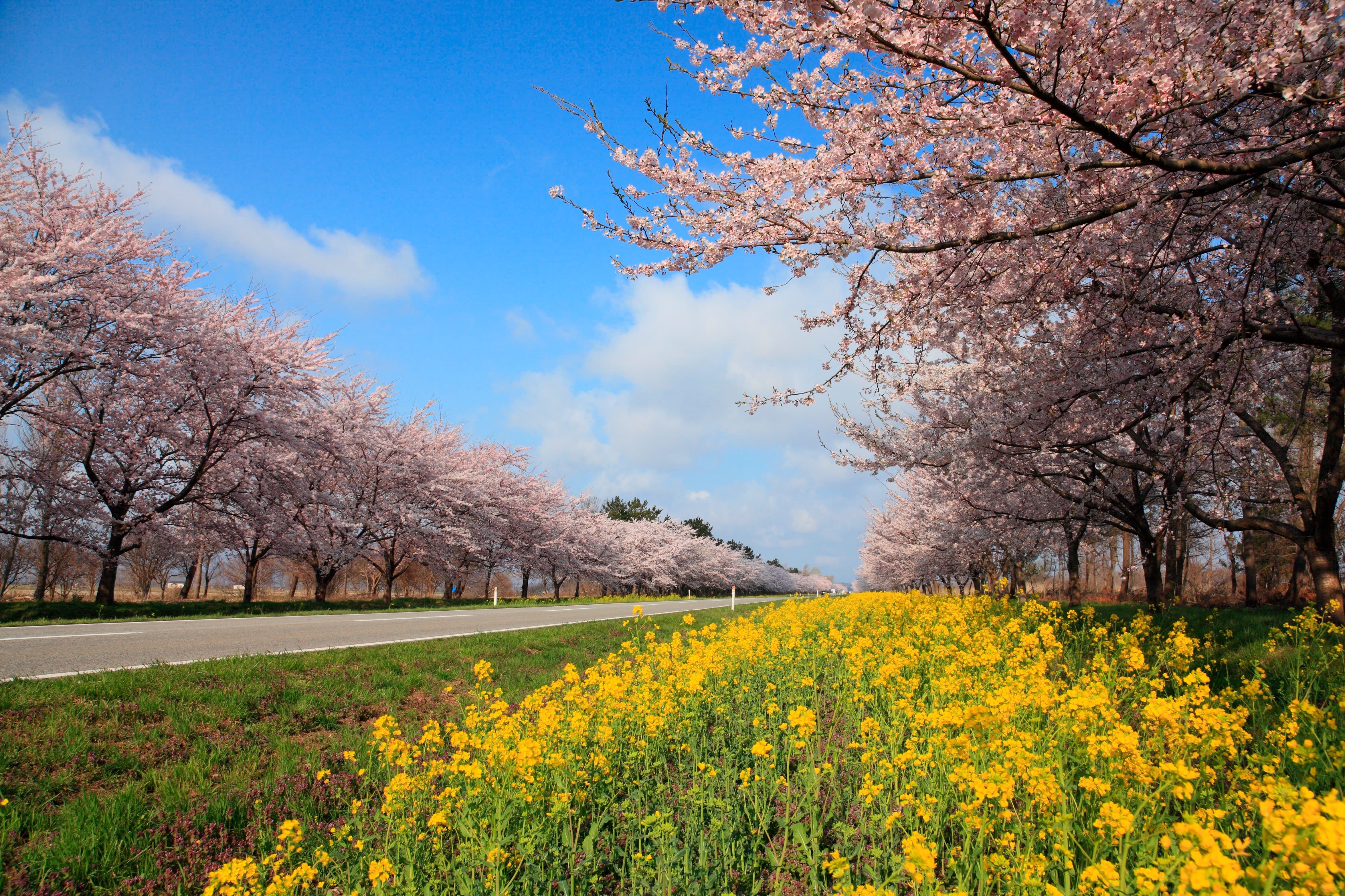 高画質の写真素材1,000点