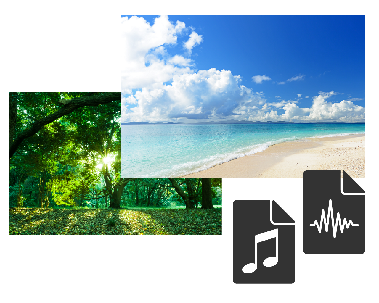 多彩な動画素材や環境音を収録