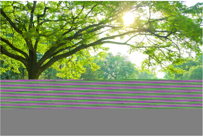 一部欠損していても、開ける