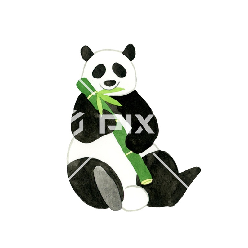 植物・花・動物・鳥（イラスト3000点）