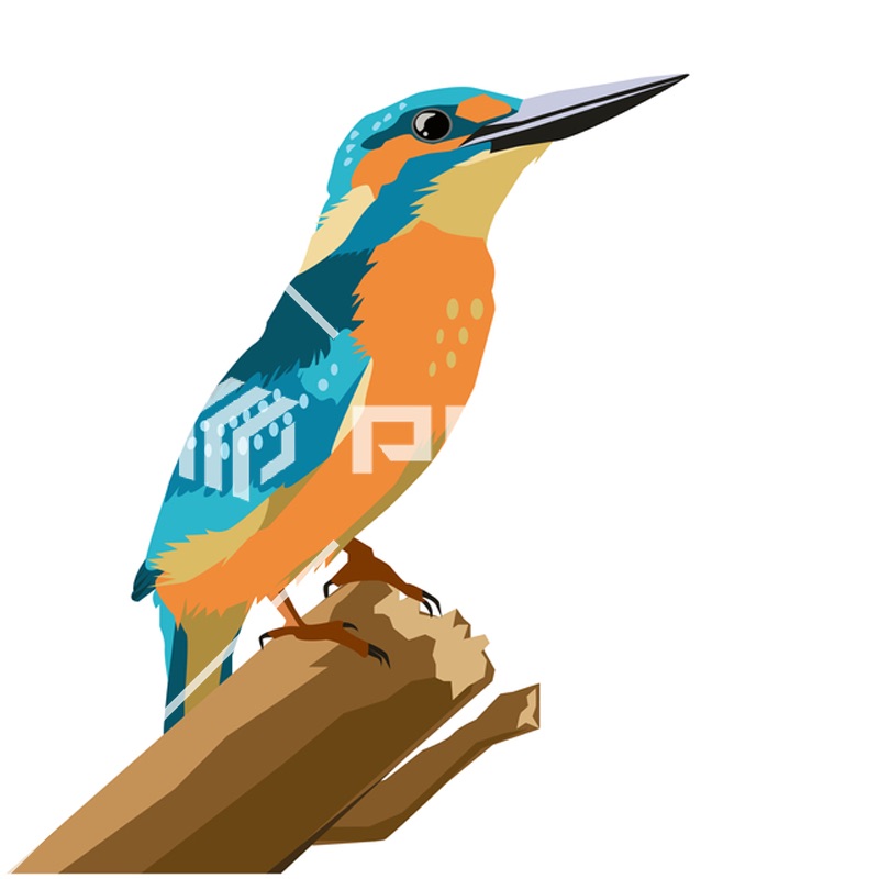 植物・花・動物・鳥（イラスト3000点）