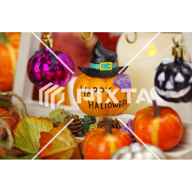 イベント・行事2（写真5000点）