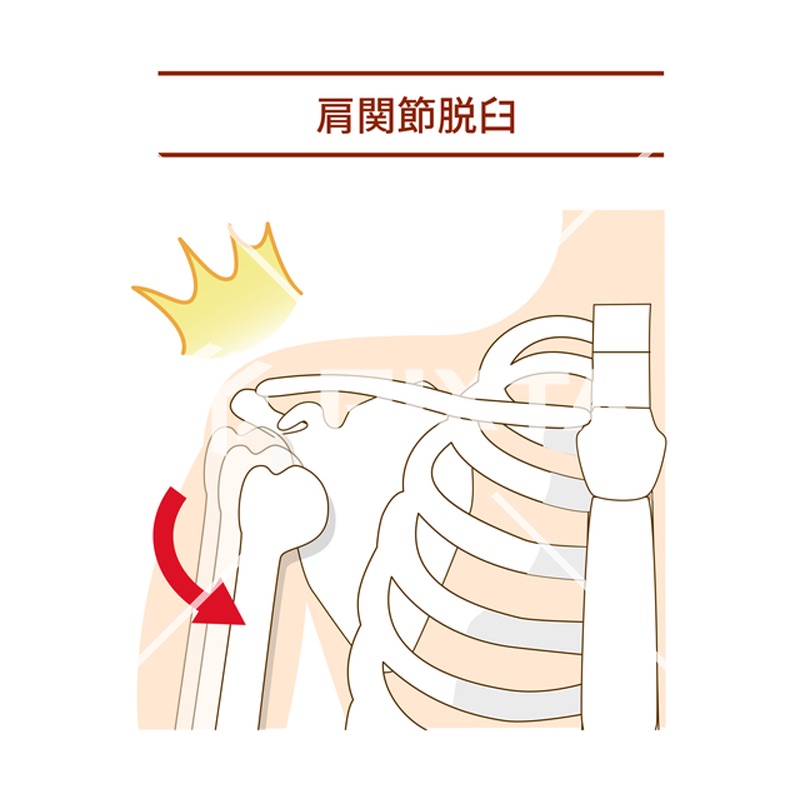 健康・美容（イラスト3000点）