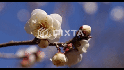 自然・風景（150点）