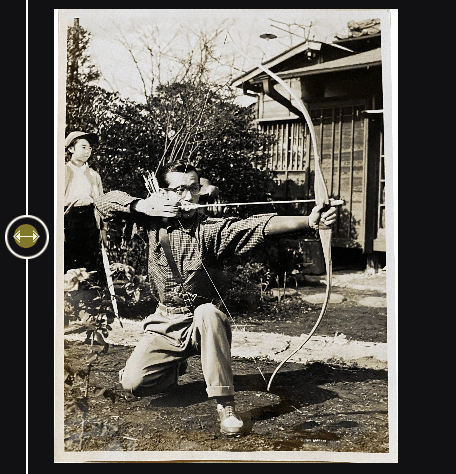 色が鮮明に蘇ります