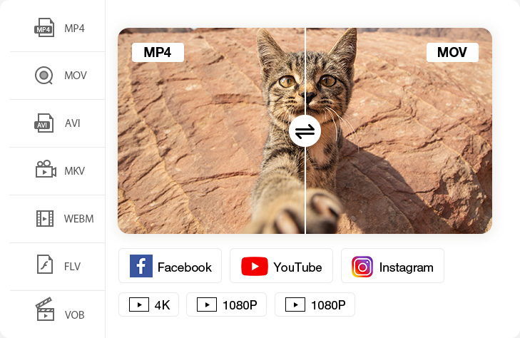 動画・音声変換機能
